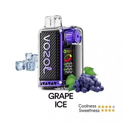 Vozol Vista 20000 Grape İce