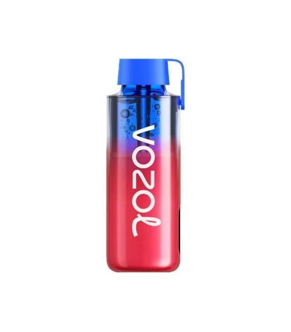 Vozol Neon 10000 Blueberry ice