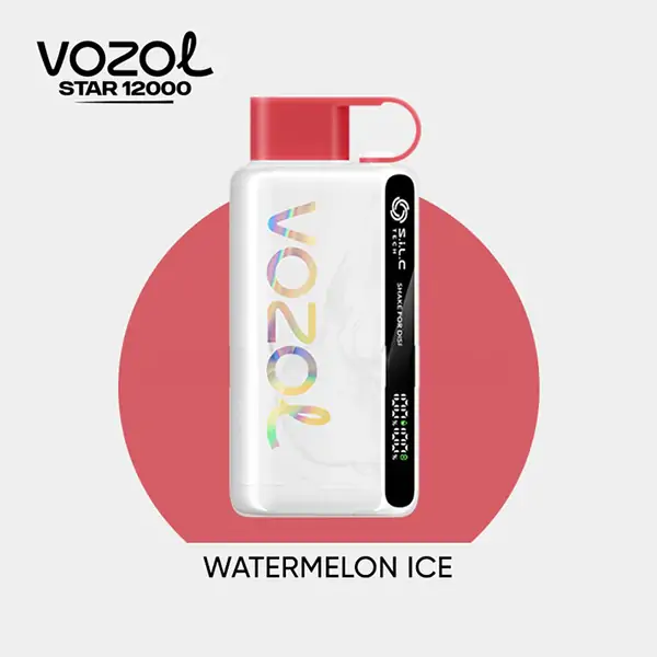Vozol Star 12000 Puff Bar,Vozol Elektronik Sigara