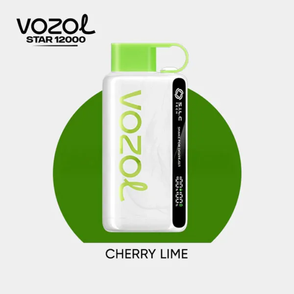 Vozol Star 12000 Puff Bar,Vozol Elektronik Sigara
