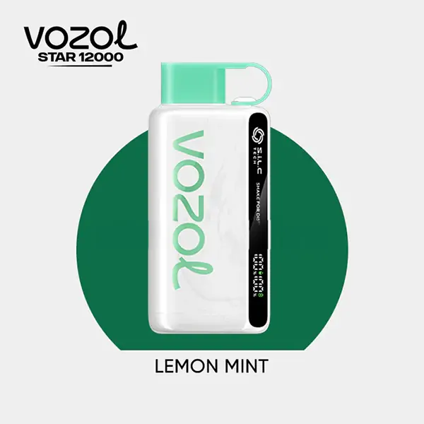 Vozol Star12000 Puff Bar,Vozol Elektronik Sigara