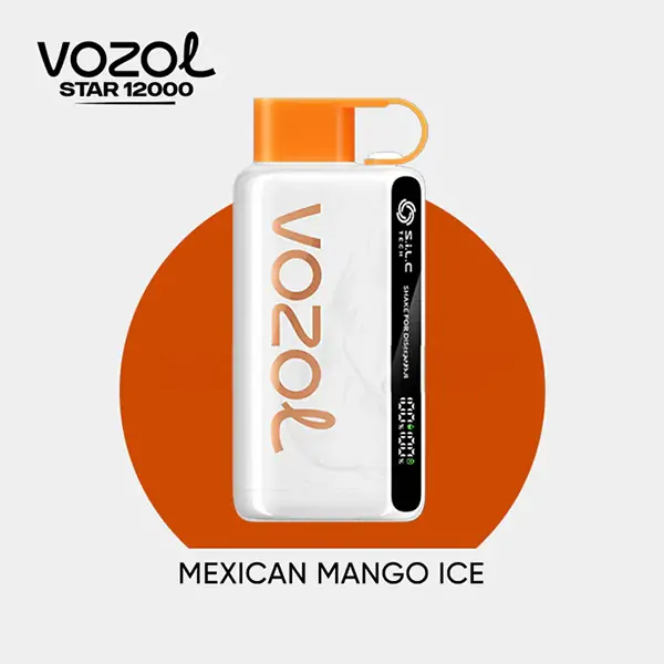 Vozol Star12000 Puff Bar,Vozol Elektronik Sigara