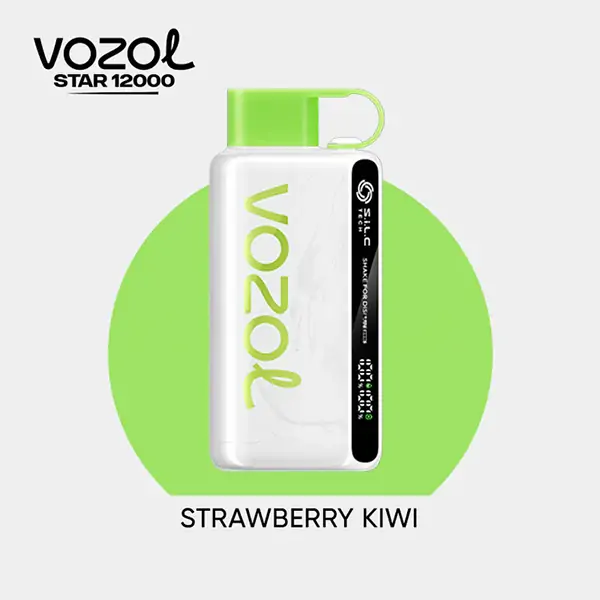 Vozol Star 12000 Puff Bar,Vozol Elektronig Vape
