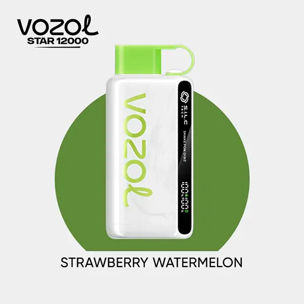 Vozol Star 12000 Puff Bar,Vozol Elektronik Vape